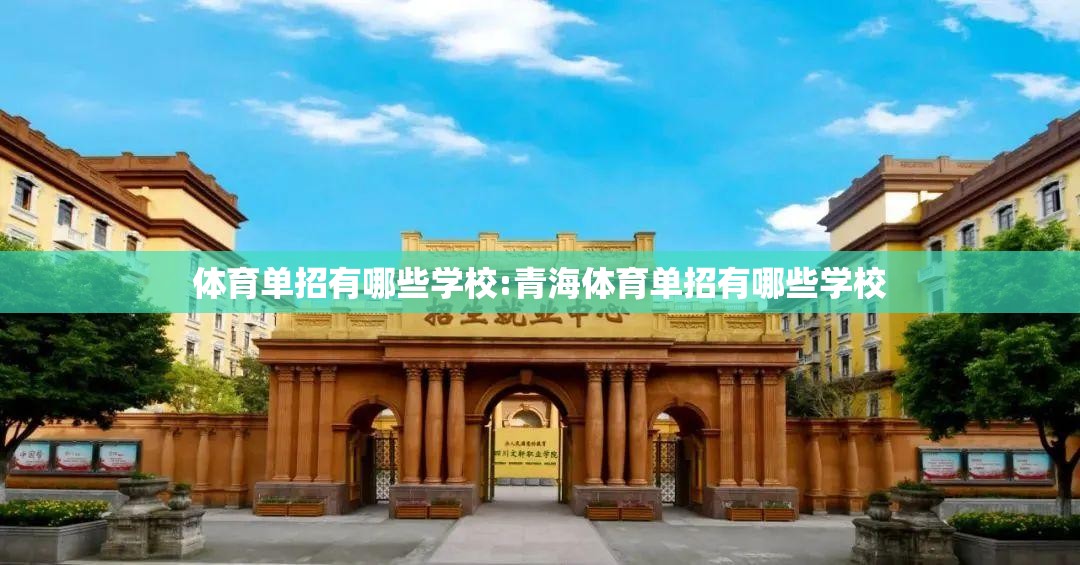 体育单招有哪些学校:青海体育单招有哪些学校