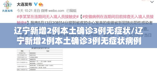 辽宁新增2例本土确诊3例无症状/辽宁新增2例本土确诊3例无症状病例