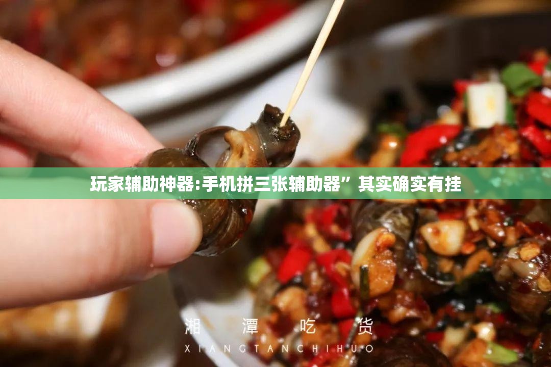 玩家辅助神器:手机拼三张辅助器”其实确实有挂