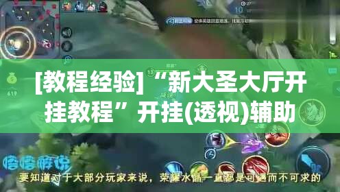 [教程经验]“新大圣大厅开挂教程”开挂(透视)辅助教程