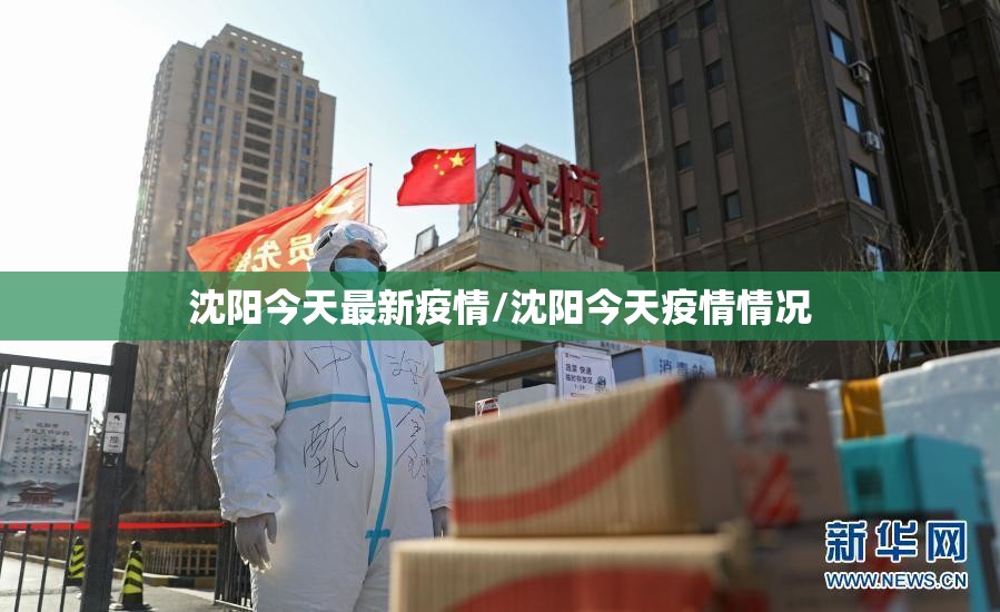 沈阳今天最新疫情/沈阳今天疫情情况 沈阳今天最新疫情/沈阳今天疫情情况
