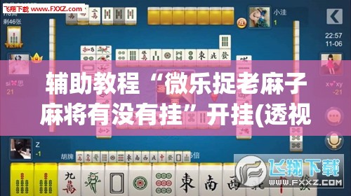 辅助教程“微乐捉老麻子麻将有没有挂”开挂(透视)辅助神器