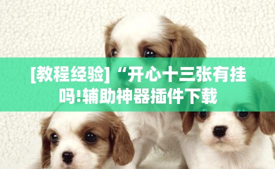[教程经验]“开心十三张有挂吗!辅助神器插件下载