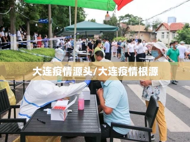 大连疫情源头/大连疫情根源