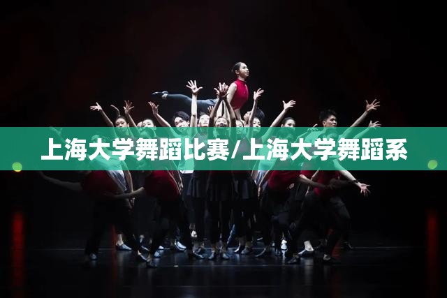 上海大学舞蹈比赛/上海大学舞蹈系 上海大学舞蹈比赛/上海大学舞蹈系