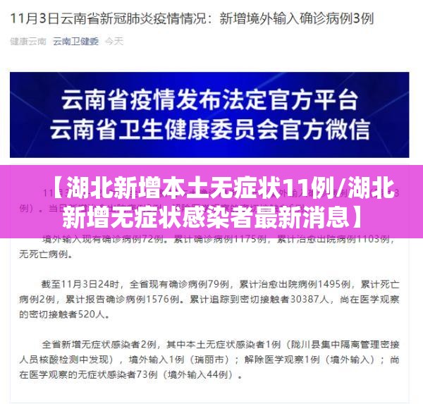 【湖北新增本土无症状11例/湖北新增无症状感染者最新消息】