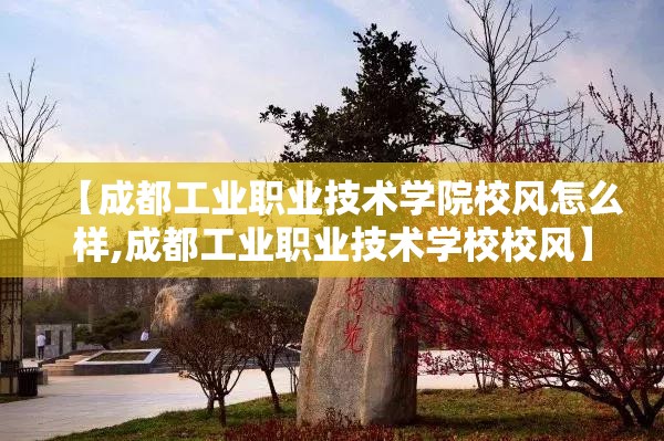 【成都工业职业技术学院校风怎么样,成都工业职业技术学校校风】 【成都工业职业技术学院校风怎么样,成都工业职业技术学校校风】