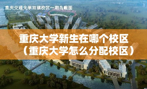 重庆大学新生在哪个校区(重庆大学怎么分配校区) 重庆大学新生在哪个校区(重庆大学怎么分配校区)