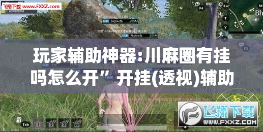 玩家辅助神器:川麻圈有挂吗怎么开”开挂(透视)辅助教程