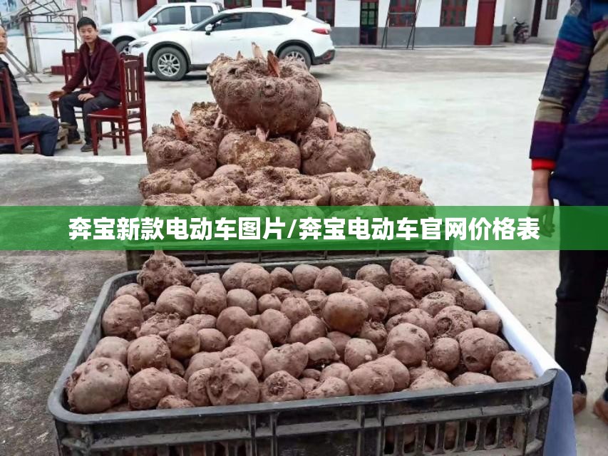 奔宝新款电动车图片/奔宝电动车官网价格表 奔宝新款电动车图片/奔宝电动车官网价格表