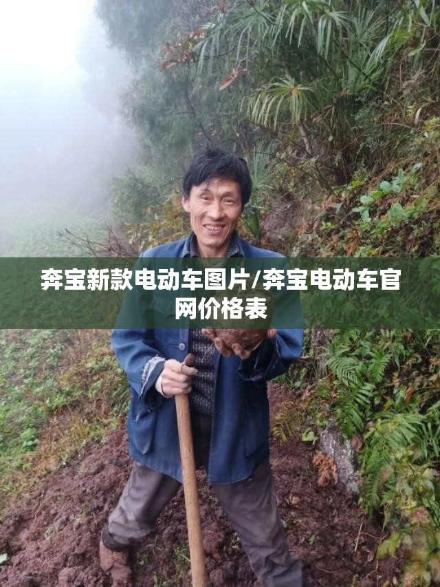 奔宝新款电动车图片/奔宝电动车官网价格表 奔宝新款电动车图片/奔宝电动车官网价格表