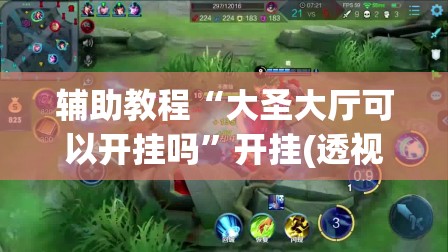 辅助教程“大圣大厅可以开挂吗”开挂(透视)辅助教程