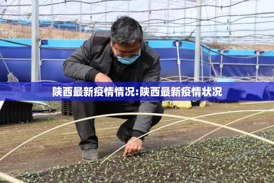 陕西最新疫情情况:陕西最新疫情状况 陕西最新疫情情况:陕西最新疫情状况