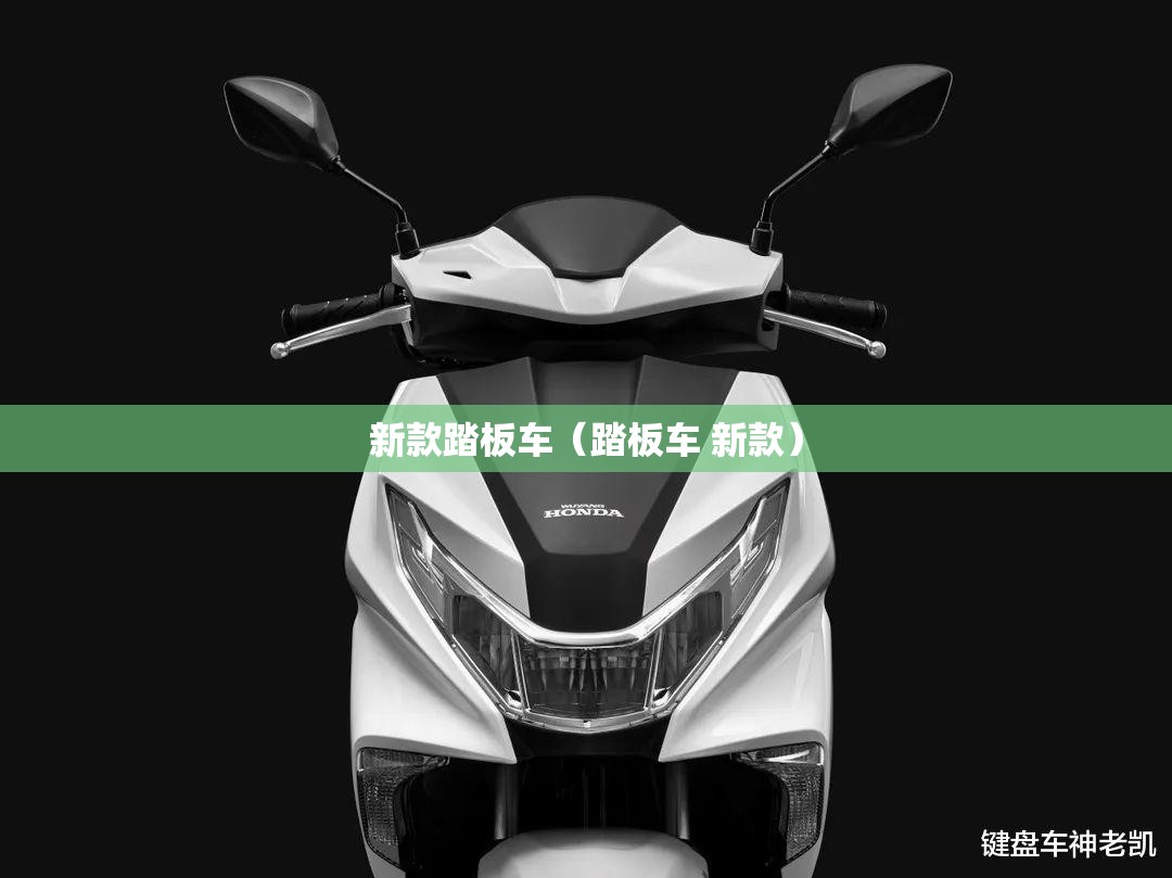 新款踏板车(踏板车 新款) 新款踏板车(踏板车 新款)