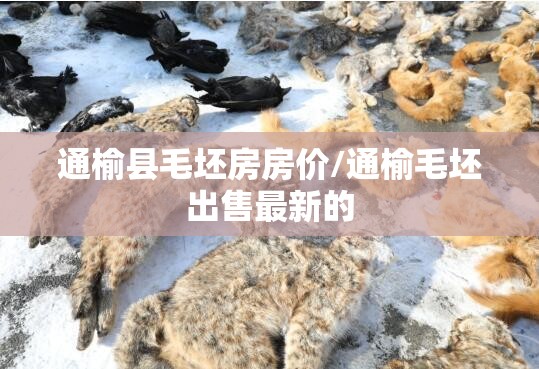 通榆县毛坯房房价/通榆毛坯出售最新的