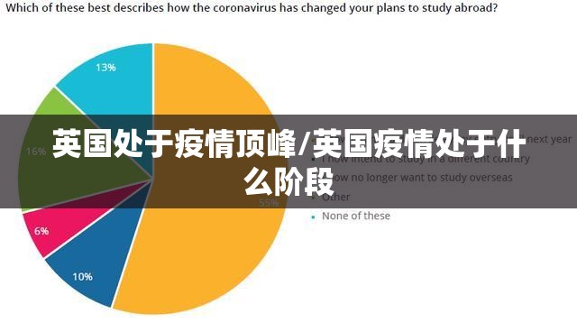 英国处于疫情顶峰/英国疫情处于什么阶段