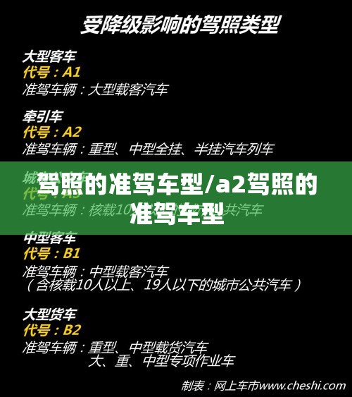 驾照的准驾车型/a2驾照的准驾车型