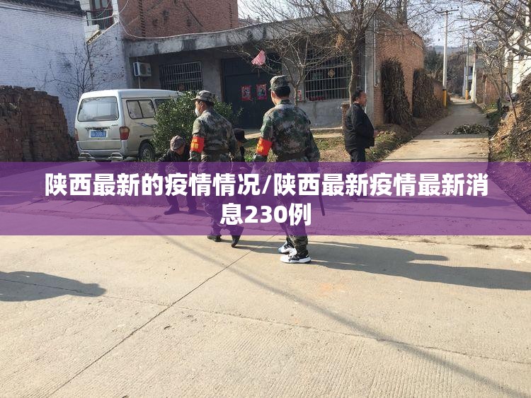 陕西最新的疫情情况/陕西最新疫情最新消息230例 陕西最新的疫情情况/陕西最新疫情最新消息230例