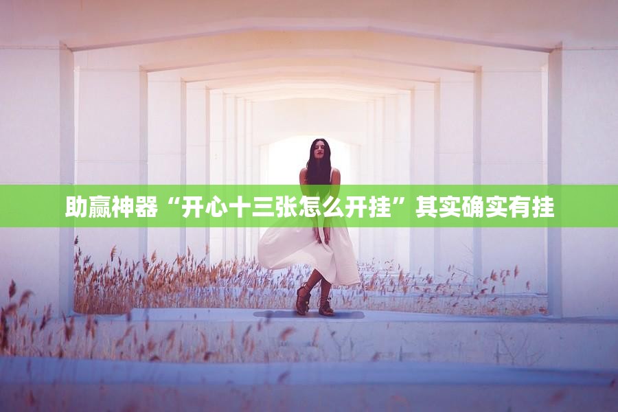 助赢神器“开心十三张怎么开挂”其实确实有挂