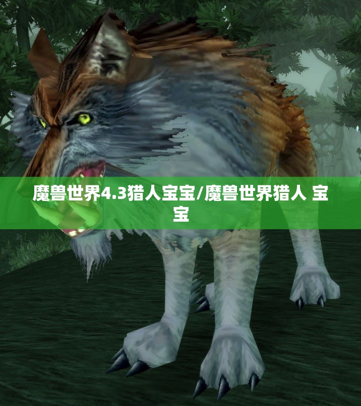 魔兽世界4.3猎人宝宝/魔兽世界猎人 宝宝