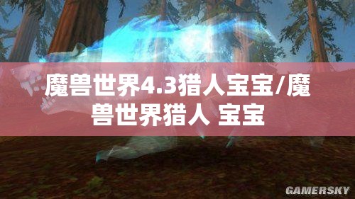 魔兽世界4.3猎人宝宝/魔兽世界猎人 宝宝
