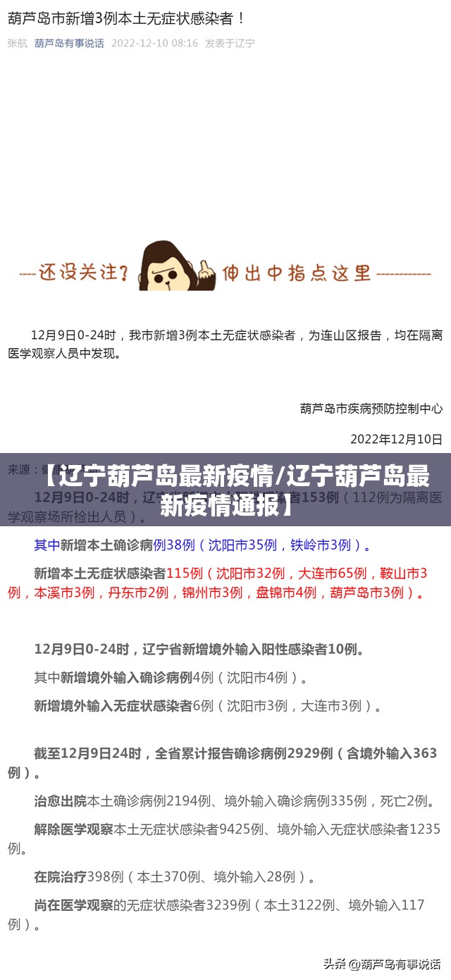 【辽宁葫芦岛最新疫情/辽宁葫芦岛最新疫情通报】