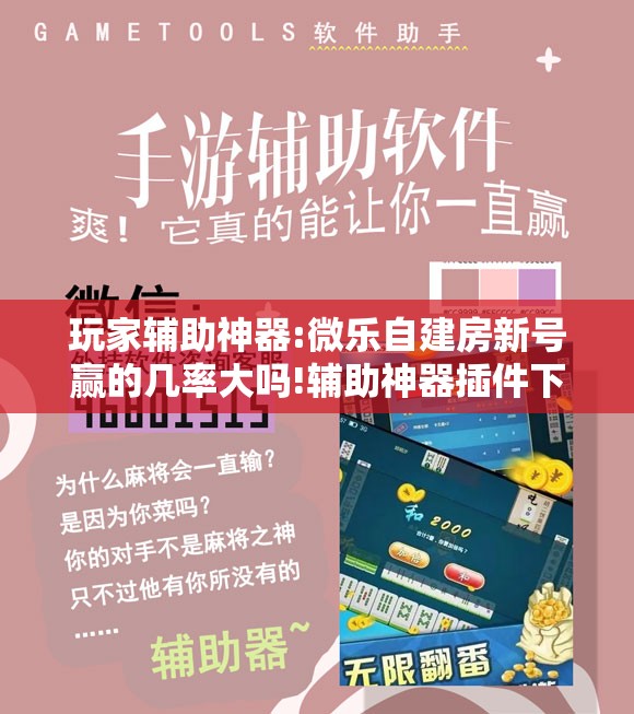 玩家辅助神器:微乐自建房新号赢的几率大吗!辅助神器插件下载
