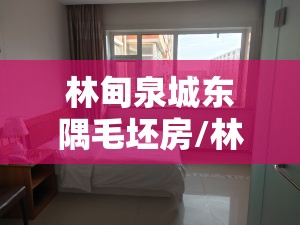 林甸泉城东隅毛坯房/林甸泉城宾馆