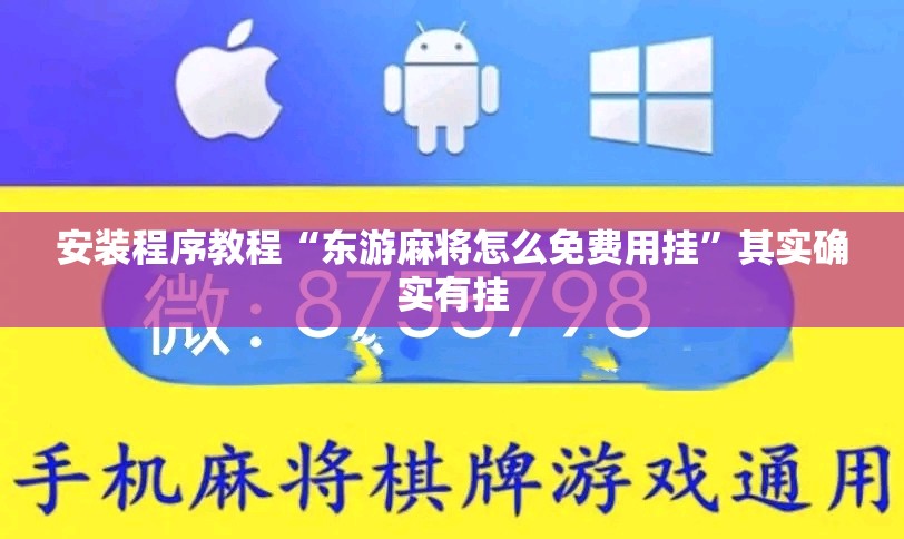 安装程序教程“东游麻将怎么免费用挂”其实确实有挂