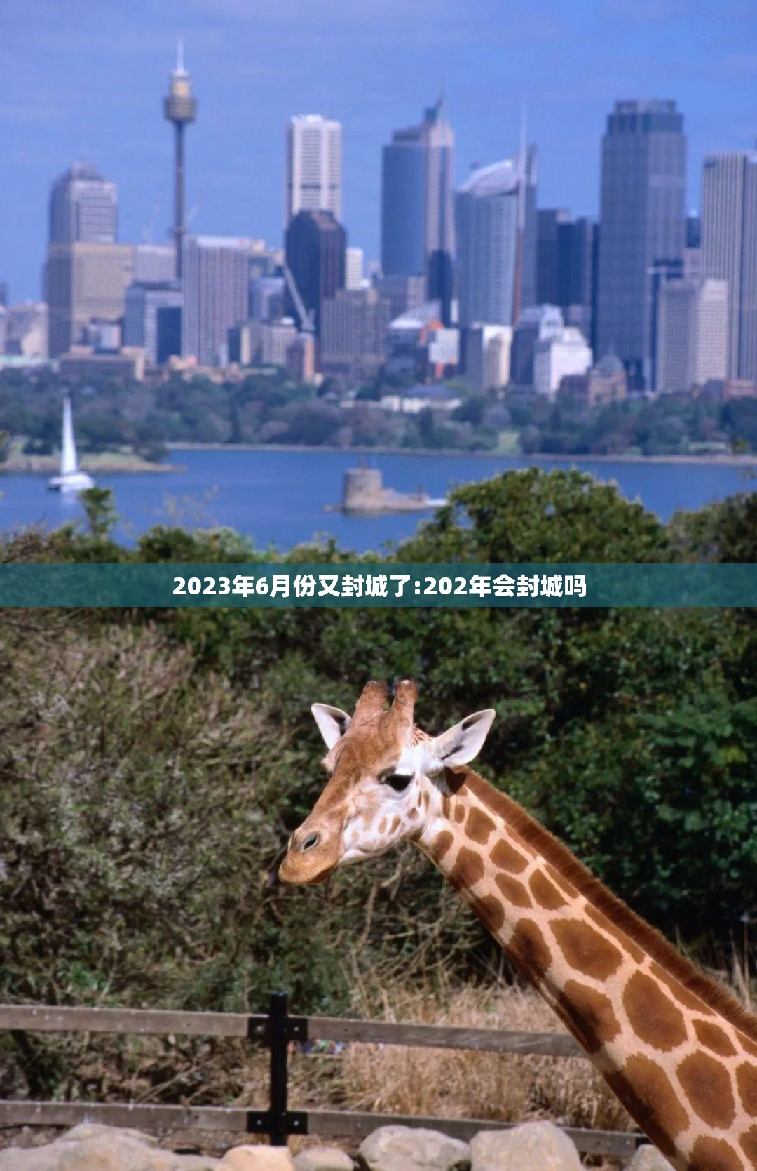 2023年6月份又封城了:202年会封城吗
