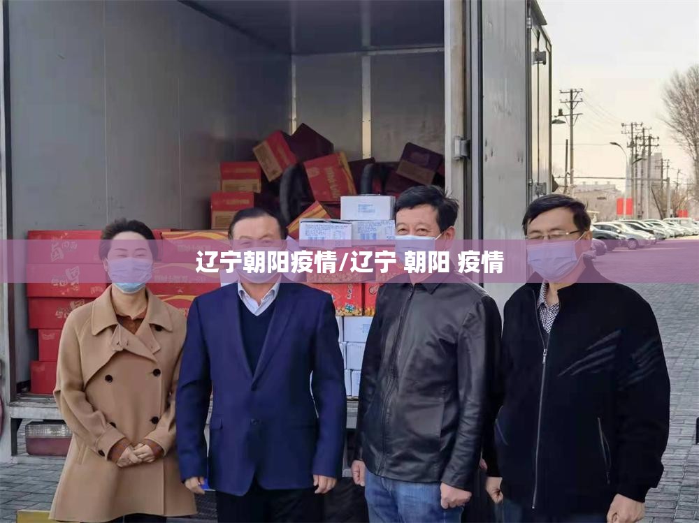 辽宁朝阳疫情/辽宁 朝阳 疫情