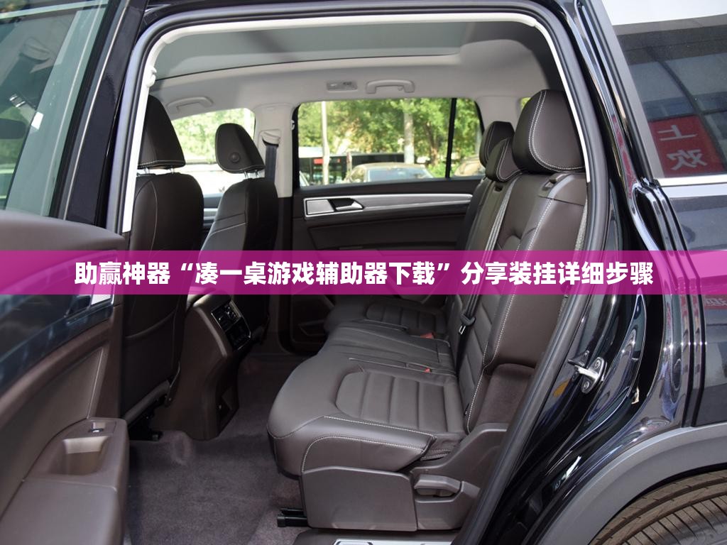 助赢神器“凑一桌游戏辅助器下载”分享装挂详细步骤