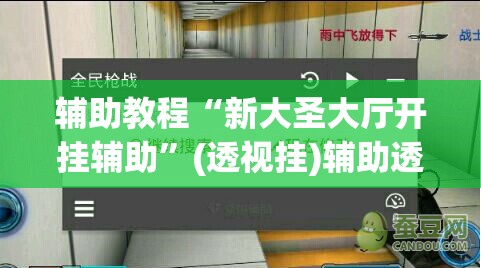 辅助教程“新大圣大厅开挂辅助”(透视挂)辅助透视教程