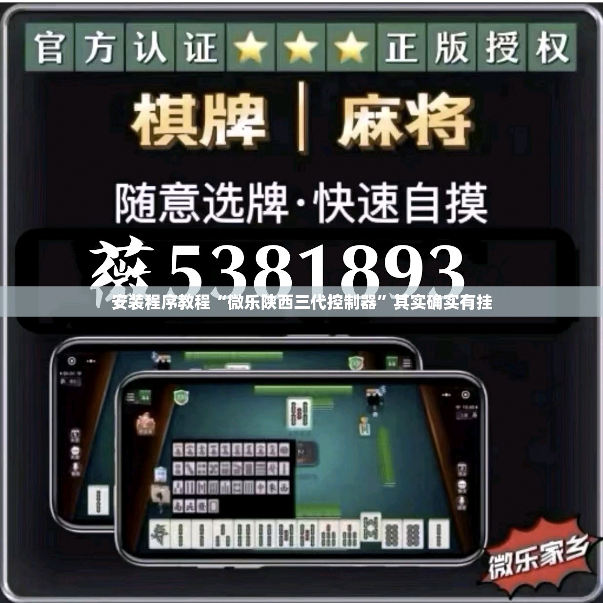 安装程序教程“微乐陕西三代控制器”其实确实有挂