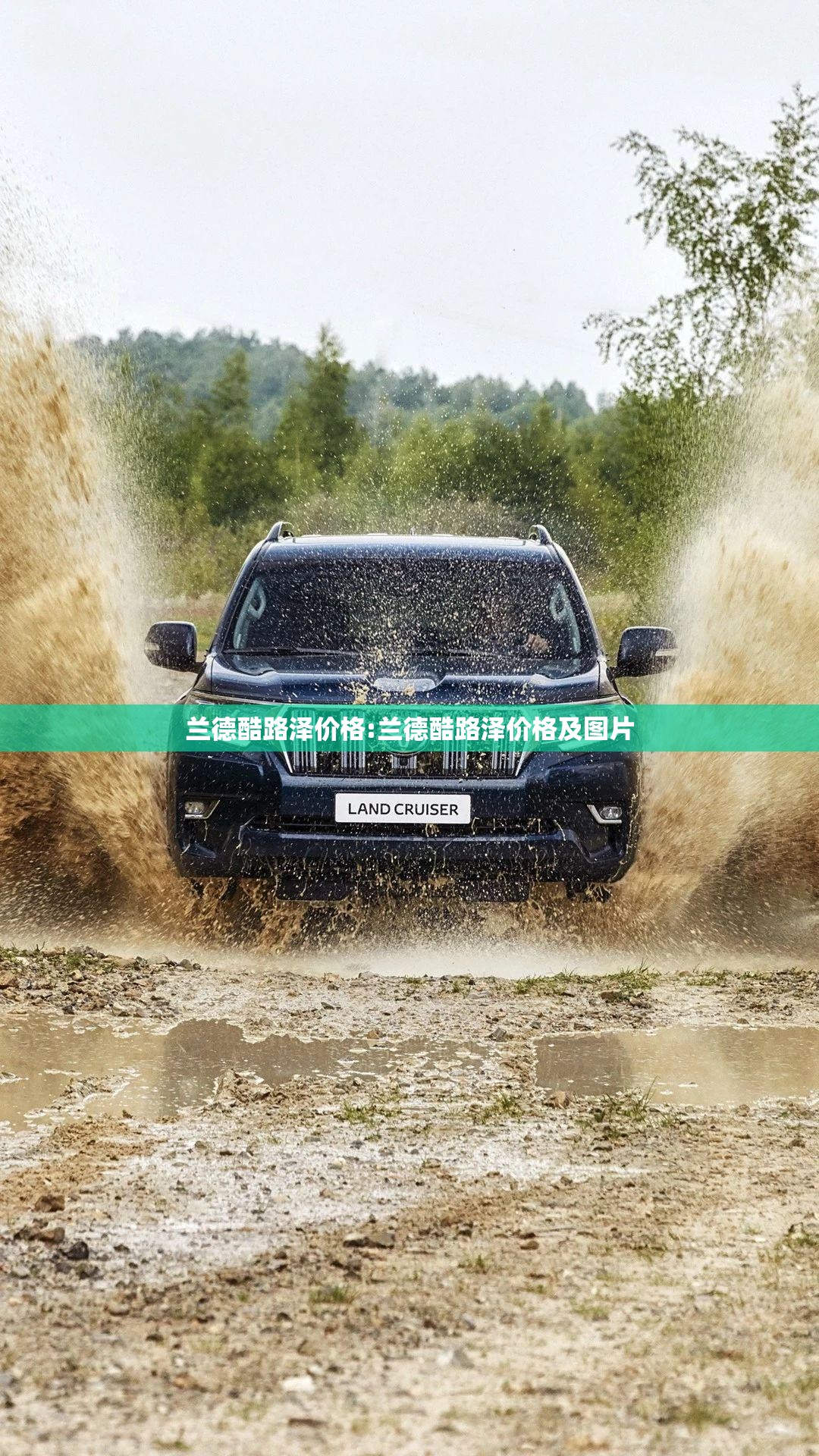 兰德酷路泽价格:兰德酷路泽价格及图片