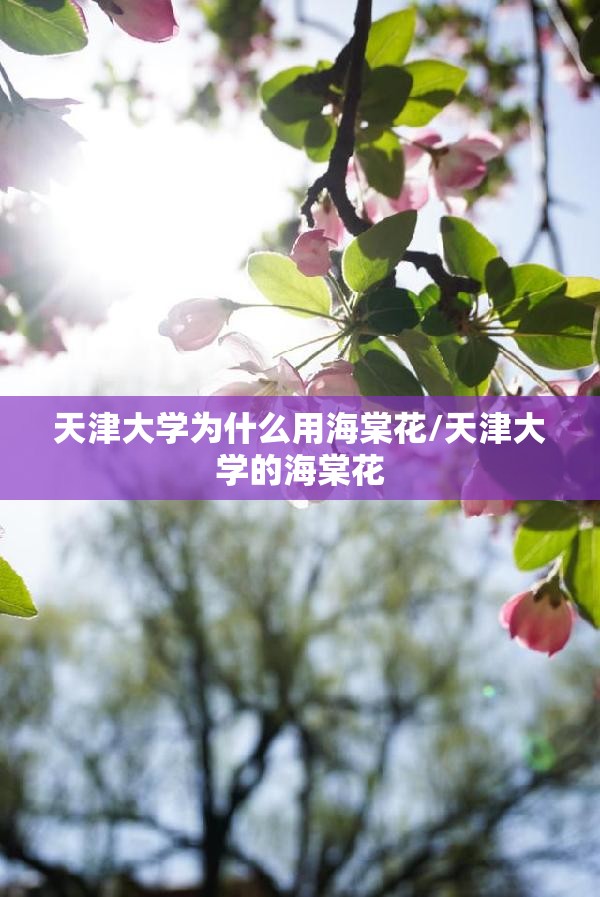 天津大学为什么用海棠花/天津大学的海棠花 天津大学为什么用海棠花/天津大学的海棠花