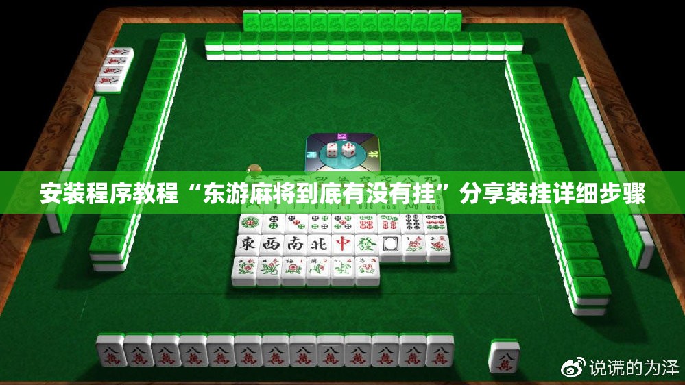 安装程序教程“东游麻将到底有没有挂”分享装挂详细步骤