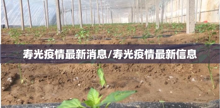 寿光疫情最新消息/寿光疫情最新信息