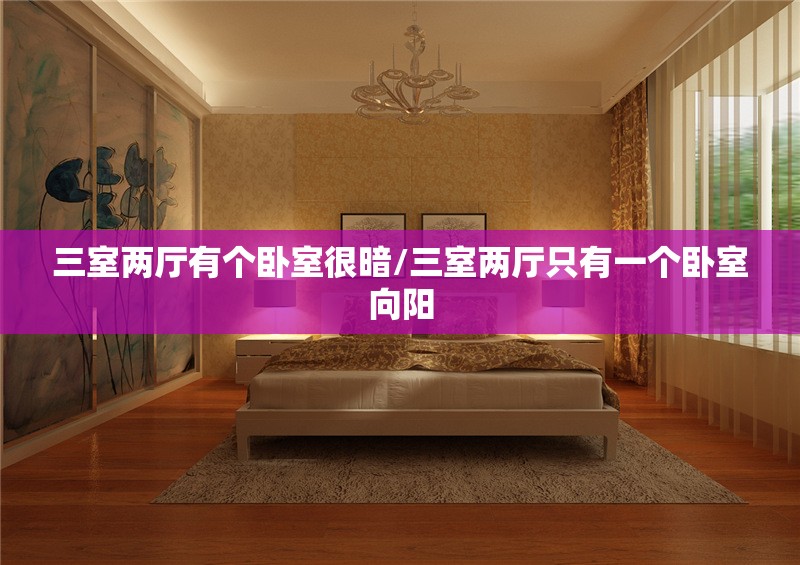 三室两厅有个卧室很暗/三室两厅只有一个卧室向阳 三室两厅有个卧室很暗/三室两厅只有一个卧室向阳