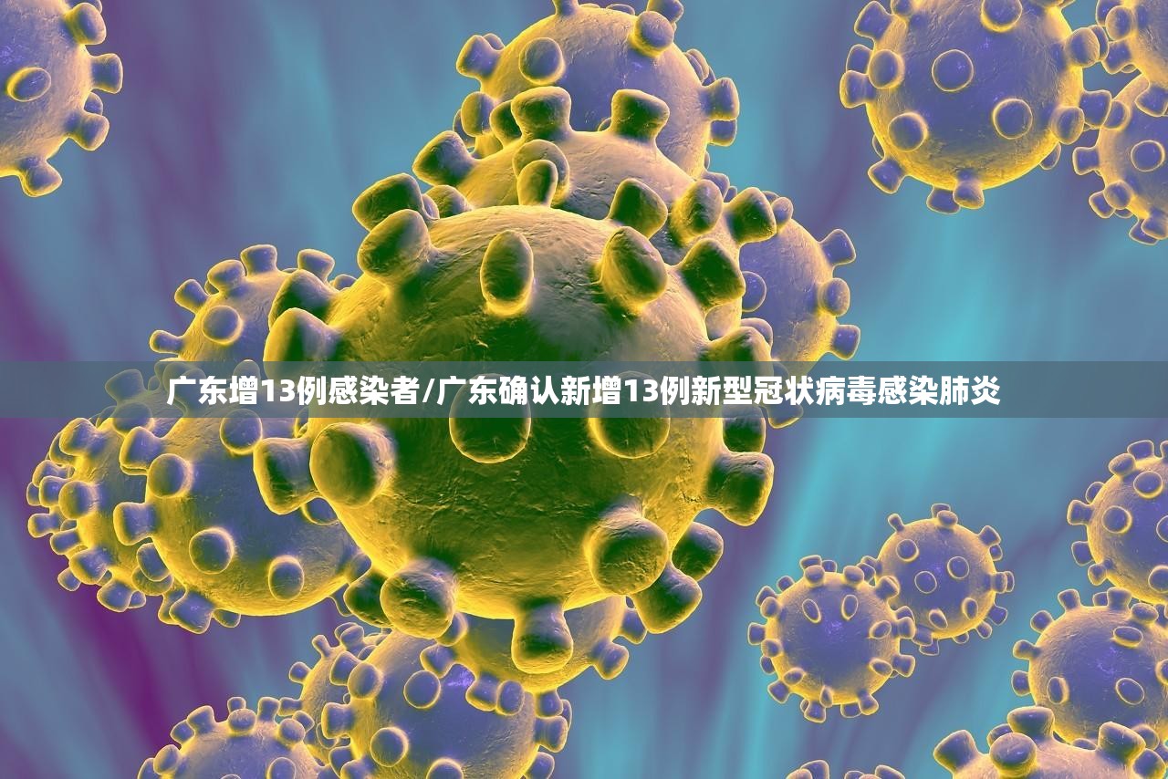 广东增13例感染者/广东确认新增13例新型冠状病毒感染肺炎