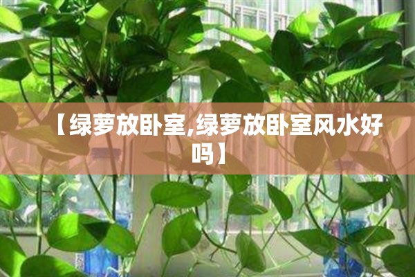 【绿萝放卧室,绿萝放卧室风水好吗】 【绿萝放卧室,绿萝放卧室风水好吗】