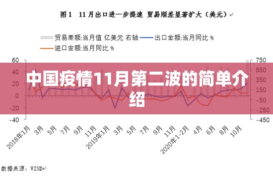 中国疫情11月第二波的简单介绍 中国疫情11月第二波的简单介绍