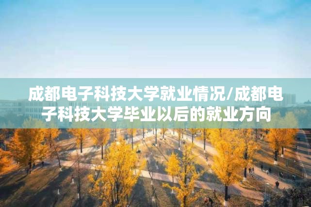 成都电子科技大学就业情况/成都电子科技大学毕业以后的就业方向