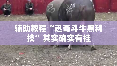 辅助教程“迅奇斗牛黑科技”其实确实有挂