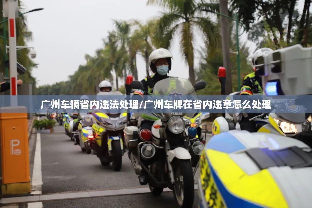 广州车辆省内违法处理/广州车牌在省内违章怎么处理 广州车辆省内违法处理/广州车牌在省内违章怎么处理