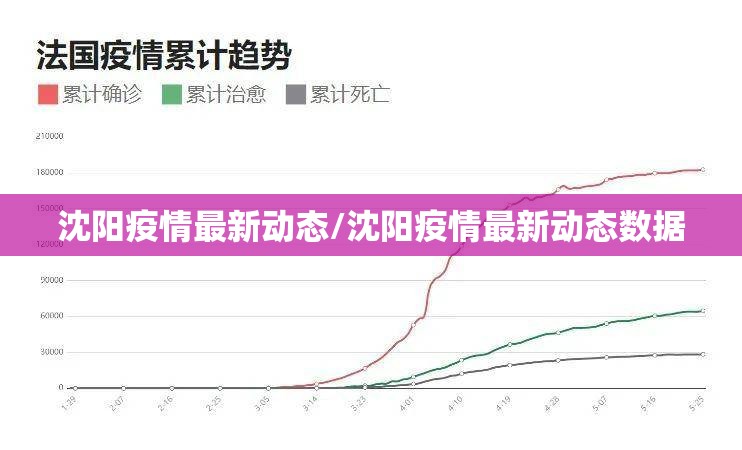 沈阳疫情最新动态/沈阳疫情最新动态数据