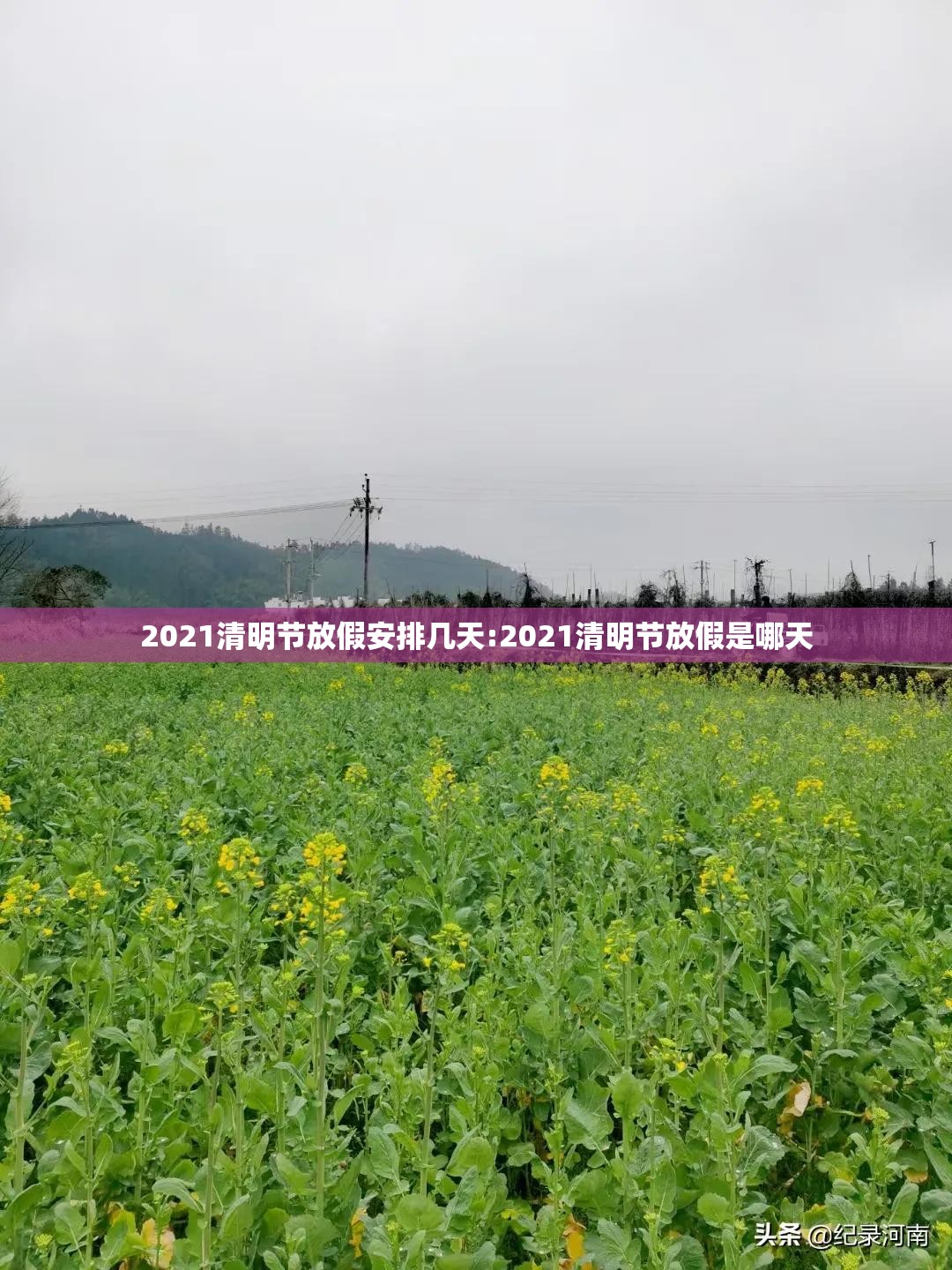 2021清明节放假安排几天:2021清明节放假是哪天 2021清明节放假安排几天:2021清明节放假是哪天