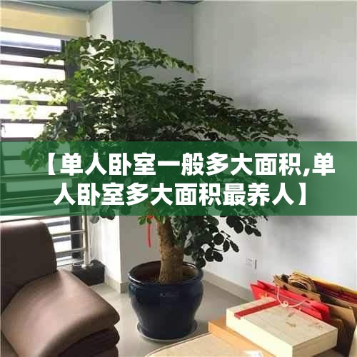 【单人卧室一般多大面积,单人卧室多大面积最养人】 【单人卧室一般多大面积,单人卧室多大面积最养人】