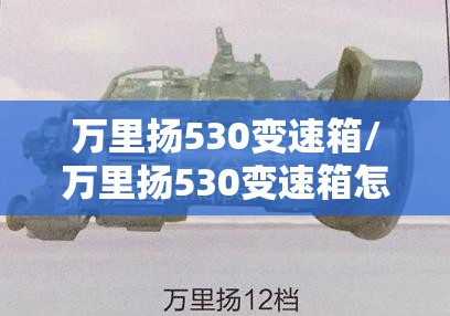 万里扬530变速箱/万里扬530变速箱怎么样 万里扬530变速箱/万里扬530变速箱怎么样