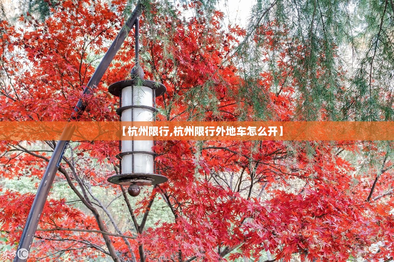 【杭州限行,杭州限行外地车怎么开】 【杭州限行,杭州限行外地车怎么开】
